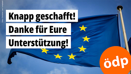 Eine Europafahne weht im Wind