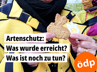 Jemand hält einen Keks in Bienenform in die Kamera. Das Bild stammt von 2019, bei einer Aktion für das Volksbegehren "Rettet die Bienen"