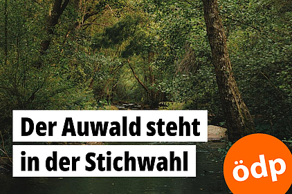 Ein Fluss fließt durch eine Waldlandschaft